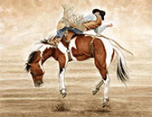 Rodeo - Bronc Pronk